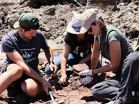 260m-year-old fossils discovered in a lost excavation site in Brazil