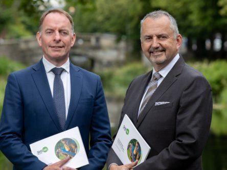 Irish businesses are upskilling teams in digitalisation and sustainability