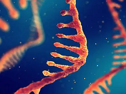 UCD scientists use CRISPR gene-editing tool to find lung cancer therapies