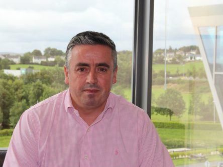 Irish business is ahead of the curve in cloud adoption