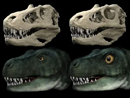 Dinosaurs evolved unique eye sockets to bite harder, research shows