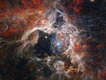 Caught in a Webb: New images reveal cosmic tarantula