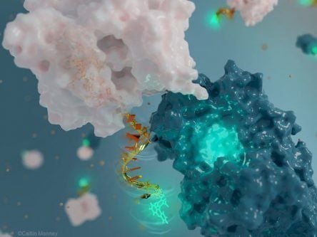 Scientists create world’s smallest nanoantenna using DNA
