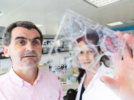 Cork researchers’ new chemo method could revolutionise cancer treatment
