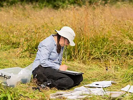 Ireland needs a ‘dedicated centre’ for climate and biodiversity