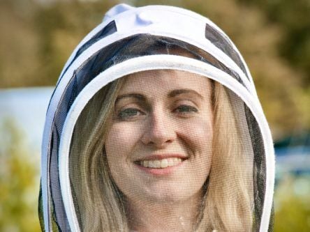 How Vodafone is helping an Irish start-up busy saving bees