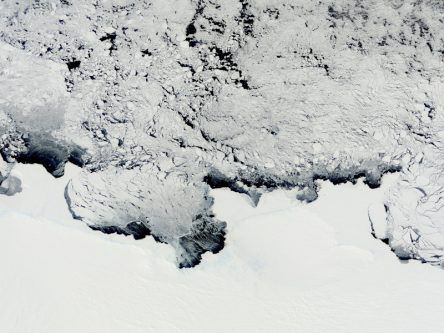 The Conger ice shelf has collapsed in Antarctica amid record temperatures