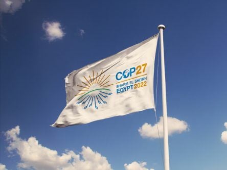 Taoiseach at COP27: ‘If we don’t step up, future generations won’t forgive us’