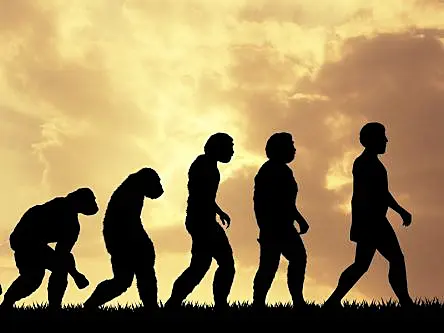 Humans have continued to evolve new genes, study suggests