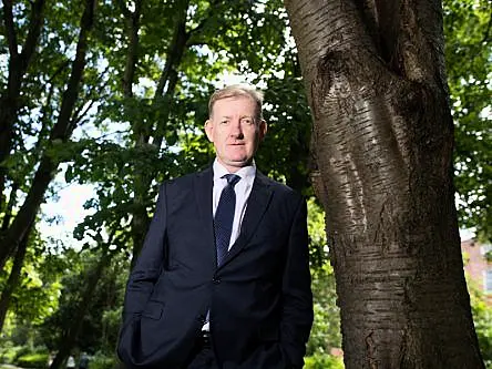 Cork tech firm Treemetrics launches real-time forest management platform