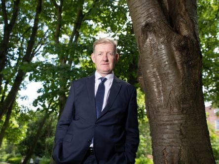 Cork tech firm Treemetrics launches real-time forest management platform