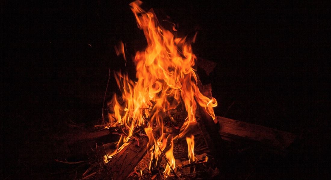 A close up of a small bonfire on a forest floor.