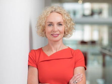 Anne O’Leary appointed as new head of Meta in Ireland