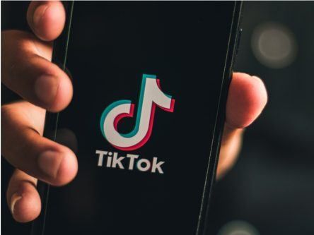 TikTok is losing its head of US trust and safety