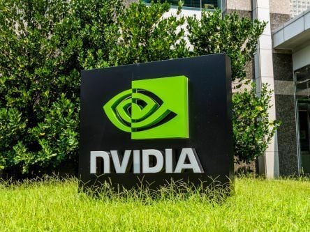 Nvidia revenue falls but AI-focused forecast sees stocks surge