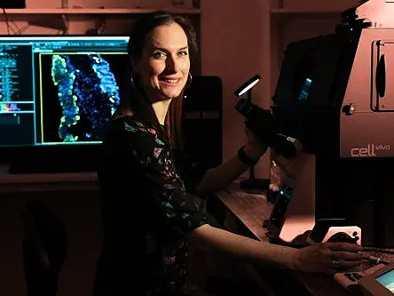 ‘Science, art and the investigation of tiny things’: Spotlight on a microscopist