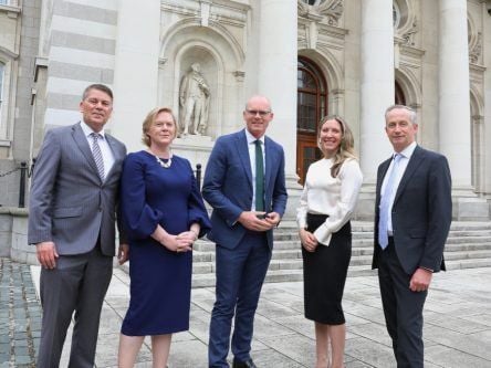 Dublin’s Capella plans 30 jobs to meet hybrid work demand