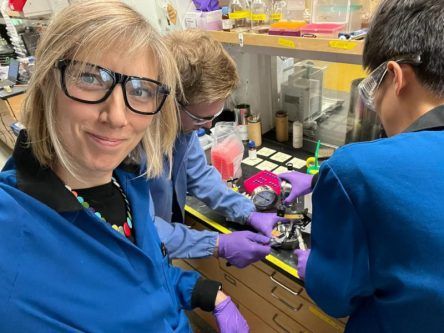 Galway researchers build ‘modular’ approach to cancer vaccine design