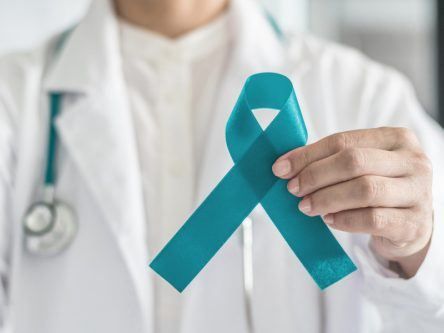 An immune protein stops ovarian cancer growth, study suggests