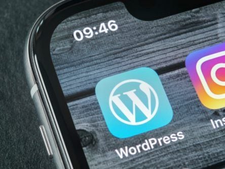 WordPress now has a 100-year domain registration option