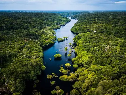 Ancient Amazonians may have sequestered carbon over centuries