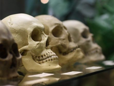 Early humans almost went extinct around 900,000 years ago