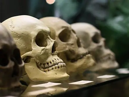 Early humans almost went extinct around 900,000 years ago