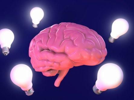 Here’s how to hack your brain to be more productive
