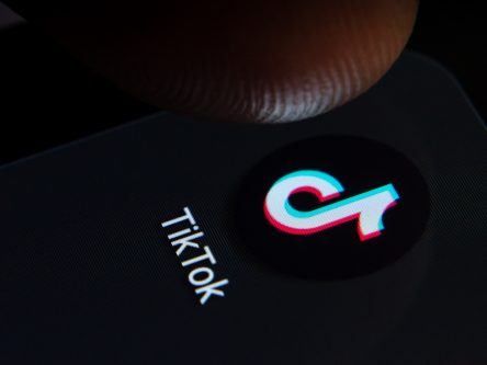 TikTok gets banned on UK government devices