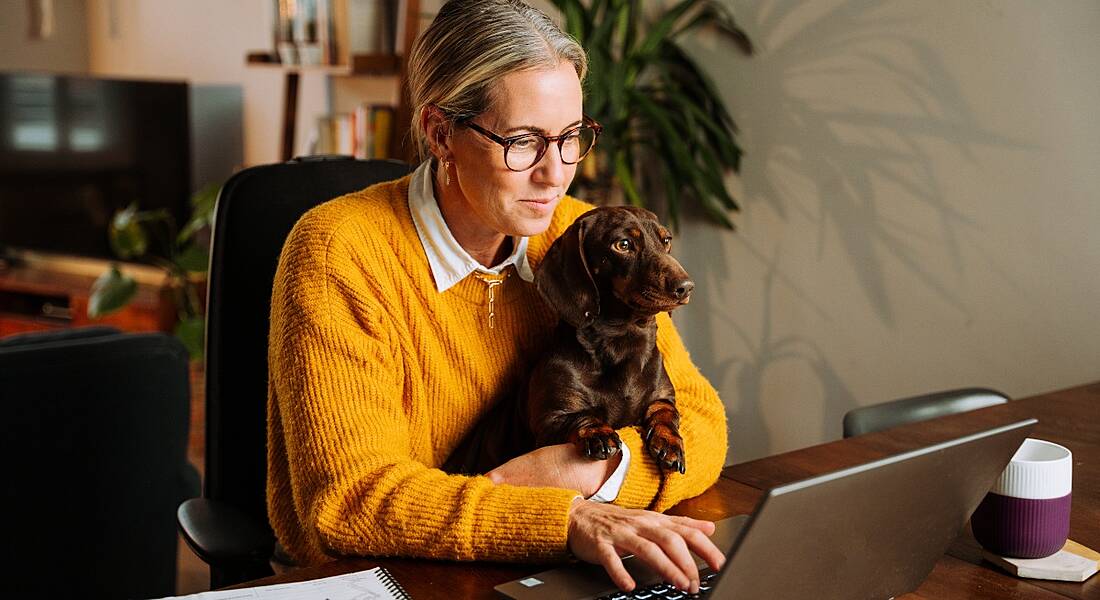 A woman in a yellow jumper works at a desk on a laptop. She has a daschund dog in her lap.
