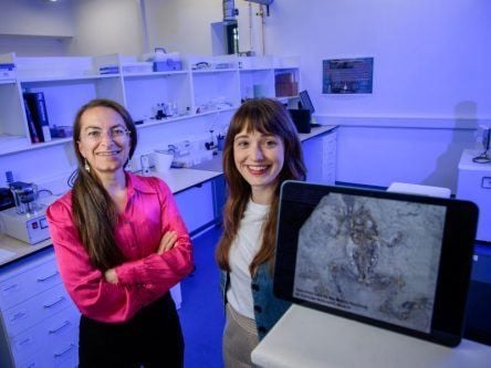 UCC scientists find ginger pigment in ancient frog fossils