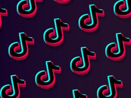 TikTok begins removing songs by Universal Music as spat intensifies