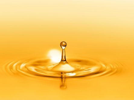 Researchers replicate ‘quantum bomb tester’ with oil droplets