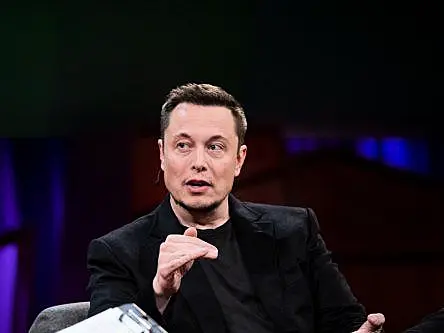 Trump appoints Elon Musk to new US government role