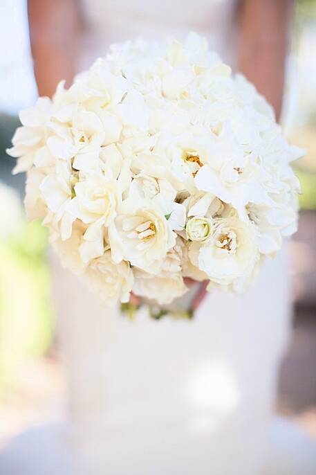 Magnolia bouquet