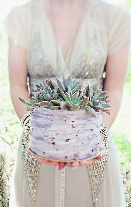 Succulent cake