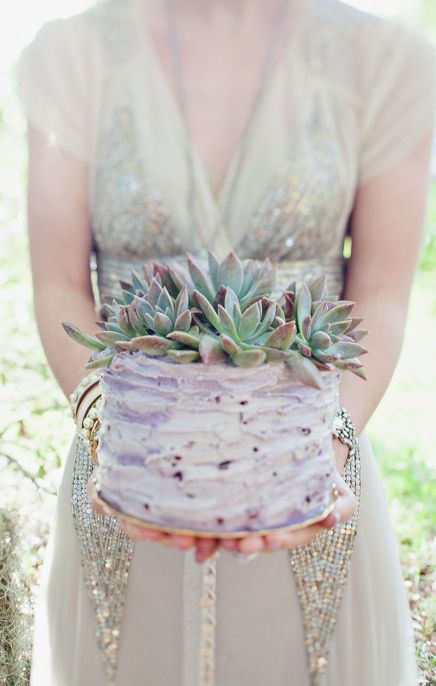 Succulent cake