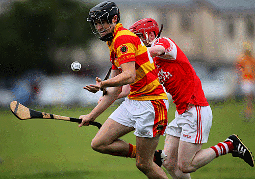 Newcestown won the 2014 SW U21 A hurling championship final.