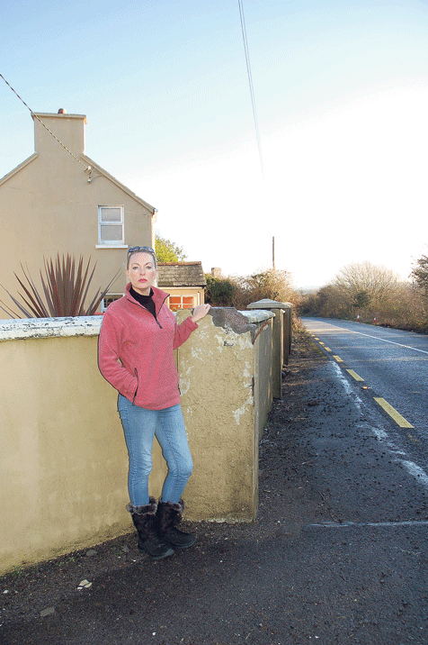 Coolavokig resident Adrienne Acton pictured with the most recent damage caused by a third accident in the space of a year at her property on the N22 between 