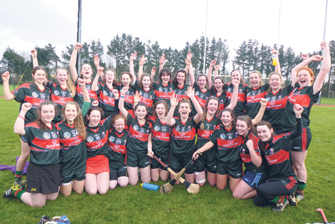 A class apart: The Sacred Heart Secondary School, Clonakilty senior camogie team pictured after their All-Ireland semi-final win against Abbey Community College in Waterford last month.