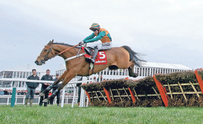 The home straight: Cole Harden, ridden by Gavin Sheehan, takes this jump in his stride on his way to winning the Ladbrokes World Hurdle at Cheltenham.