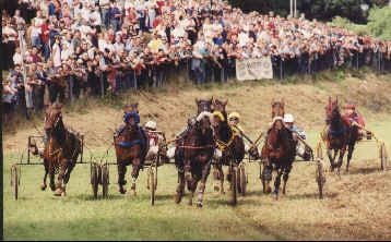 Horse Fair