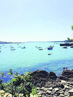 Schull Harbour: big plans for major marina.