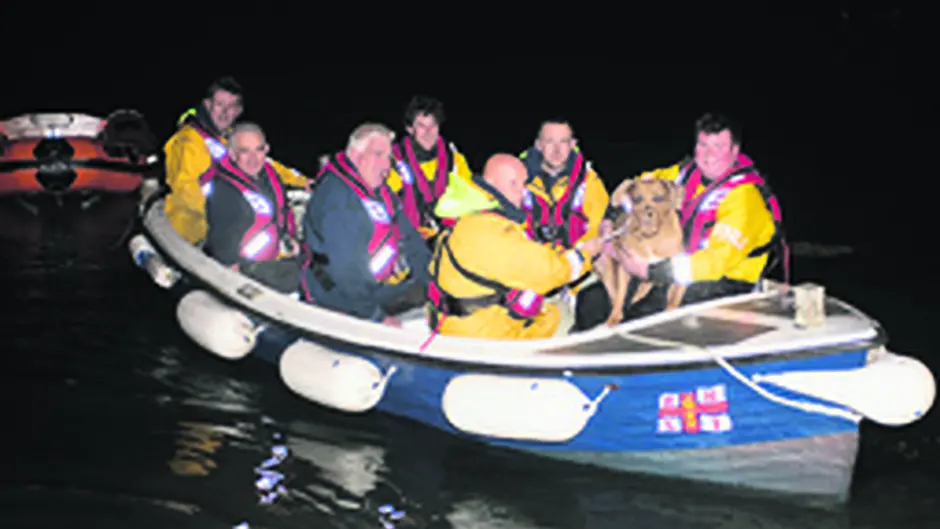 Dog rescue a first for Lifeboat Image