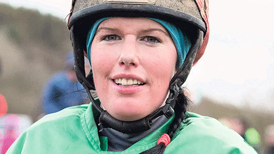 Meadowlands Falcon swoops to Horse of Year title Image