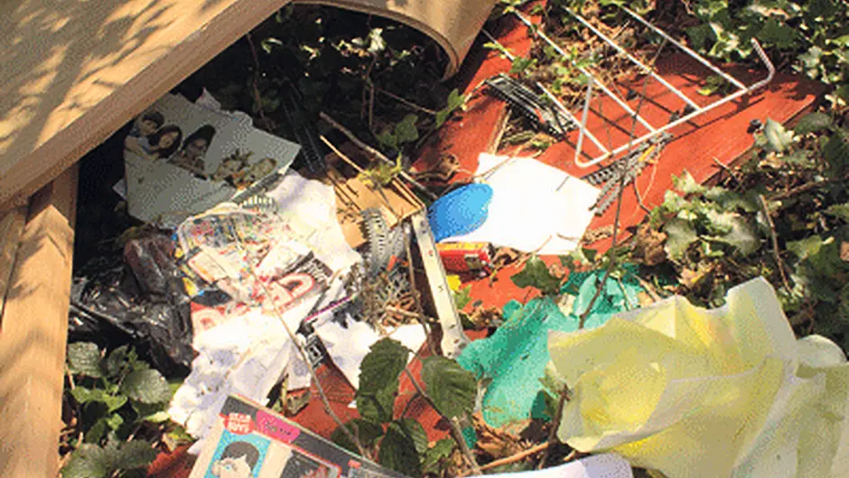 Why our special litter report hit a nerve with civic minded readers Image