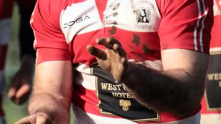 Skibbereen through to Munster Junior Plate final Image