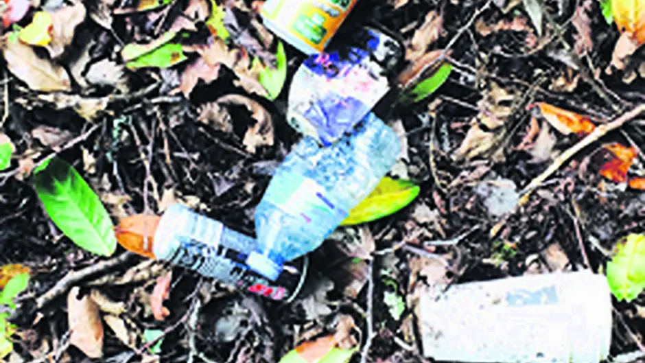 Litter Almost 600kg of waste per person Image
