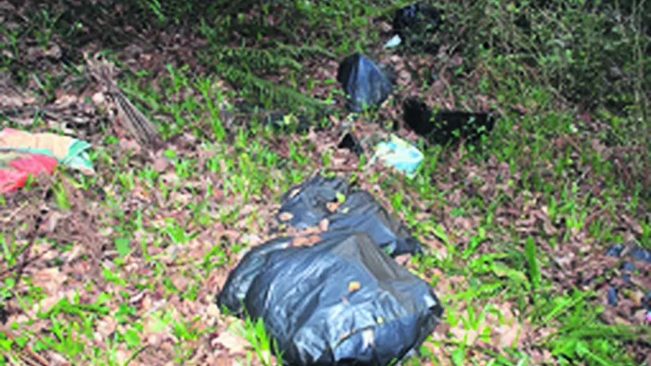 LITTER Spirit of co operation is alive and well within the communities of West Cork Image