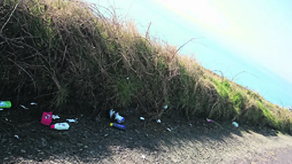 Litter Reduced hours at amenity sites are part of the problem Image